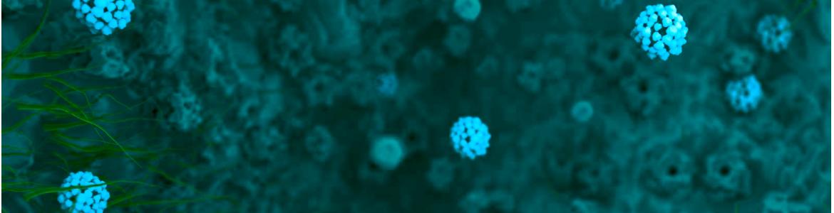 imagen de coronavirus