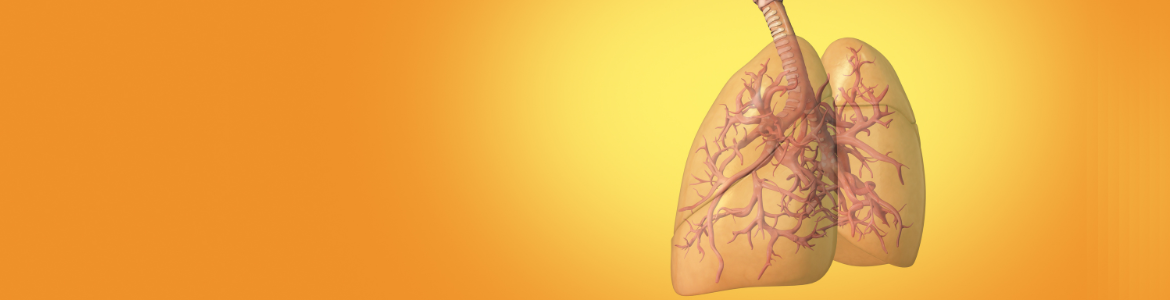 Pulmones ilustración de los pulmones sobre fondo amarillo