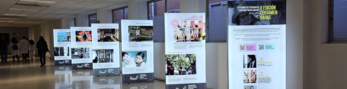 Exposición de paneles con fotografías