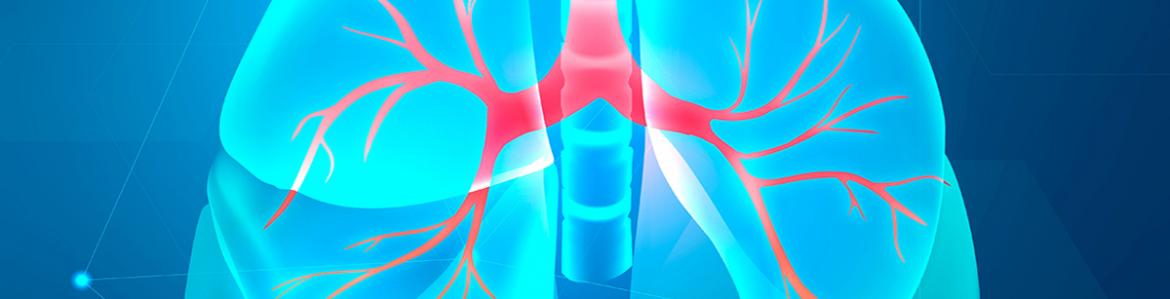 IMAGEN RECURSO PULMONES