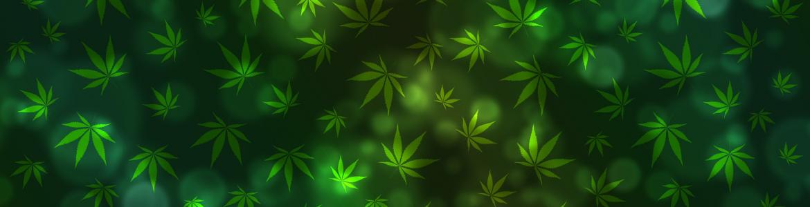 Riesgos asociados al consumo de cannabis