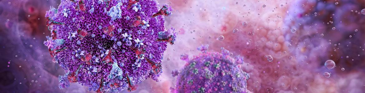 Virus de la inmunodeficiencia humana