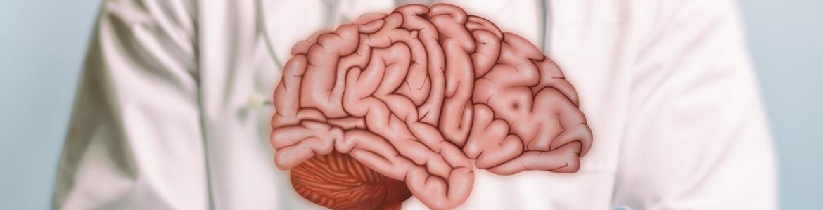 Imagen de cabecera #0 de la página de "Facultativo Especialista en Neurocirugía 2021"