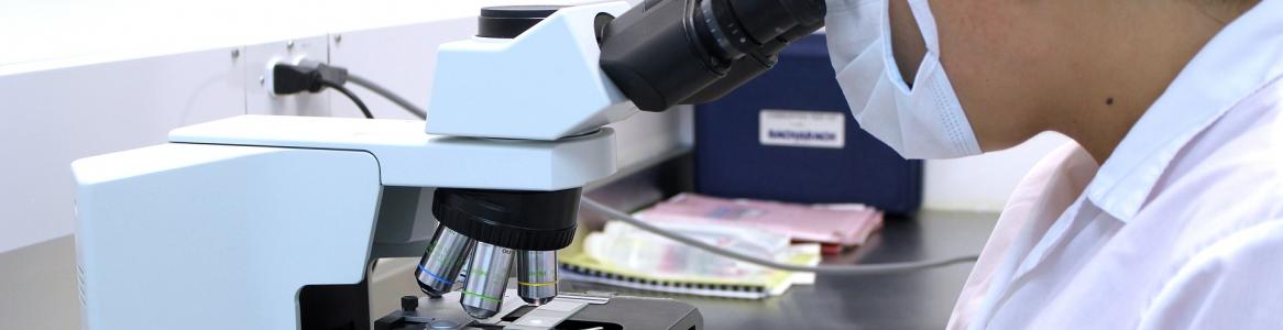 Imagen de cabecera #0 de la página de "Pruebas selectivas para Técnico Superior Especialista en Laboratorio de Diagnóstico Clínico 2019"