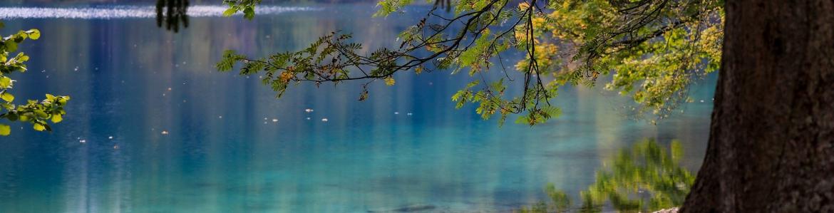 Lago azul desde la orilla con árboles en primer plano