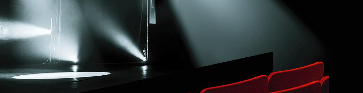 Photo of the stalls in darkness where the red seat heads are in focus