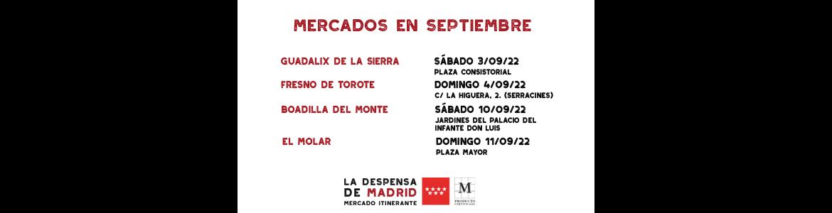 CALENDARIO SEPTIEMBRE 2022