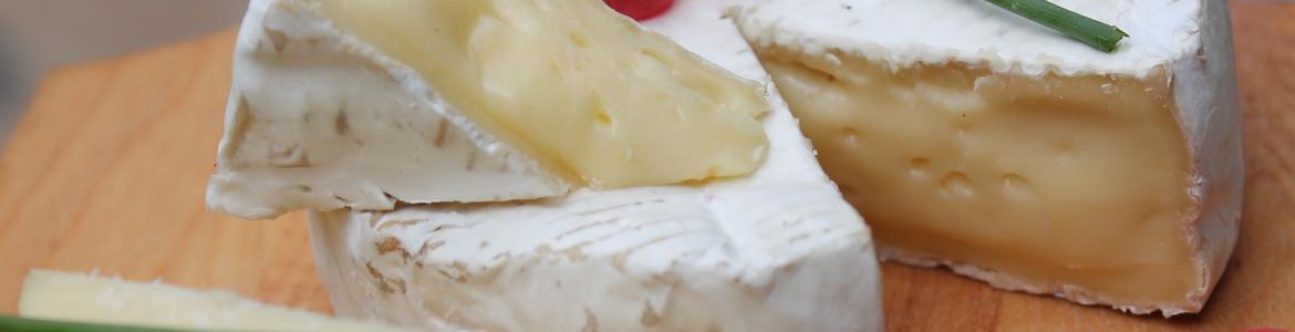 Queso brie