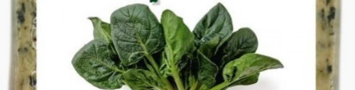 Etiqueta del producto implicado