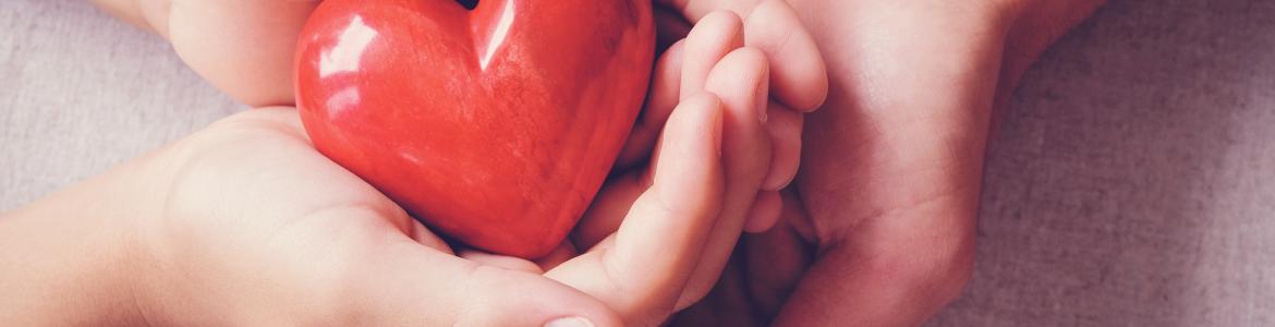 Dos manos le dan un corazón de juguete a otras dos manos representando una donación