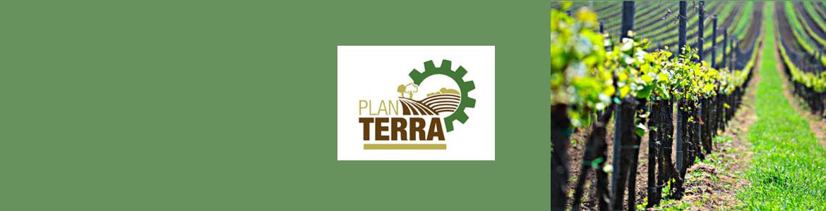 Imagen ilustrativa del Plan Terra: logo y viñedos