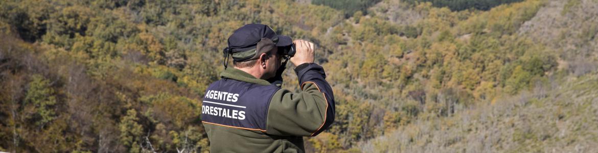 Un agente forestal de la Comunidad de Madrid de espaldas en una torre de vigilancia