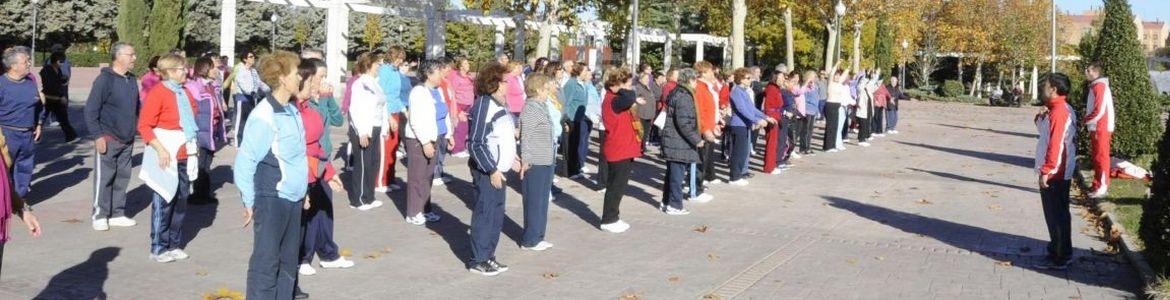PROGRAM ENFORMA
