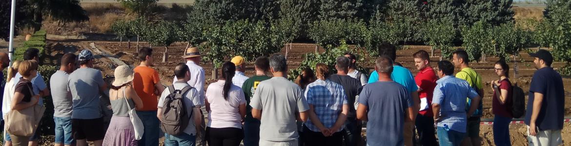 Alumnado atendiendo explicaciones sobre el cultivo de pistacho