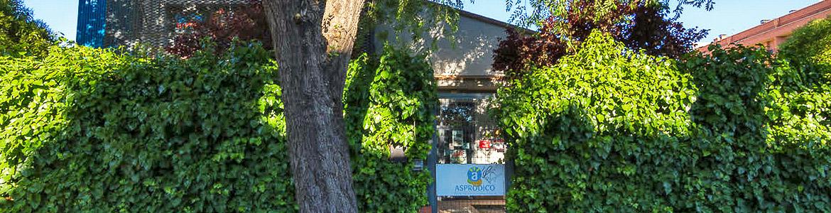 Centro de Atención Temprana (CAT) ASPRODICO de Colmenar Viejo Fachada del Centro de Atención Temprana (CAT) ASPRODICO de Colmenar Viejo