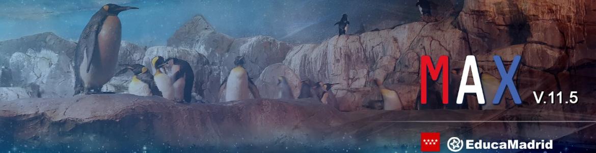 Fondo de glaciar marino con pingüinos