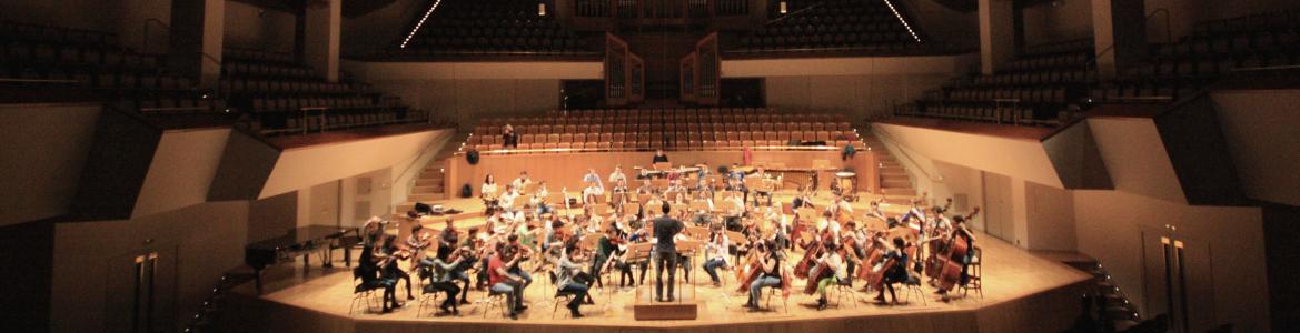 Young Orchestra of the Community of Madrid