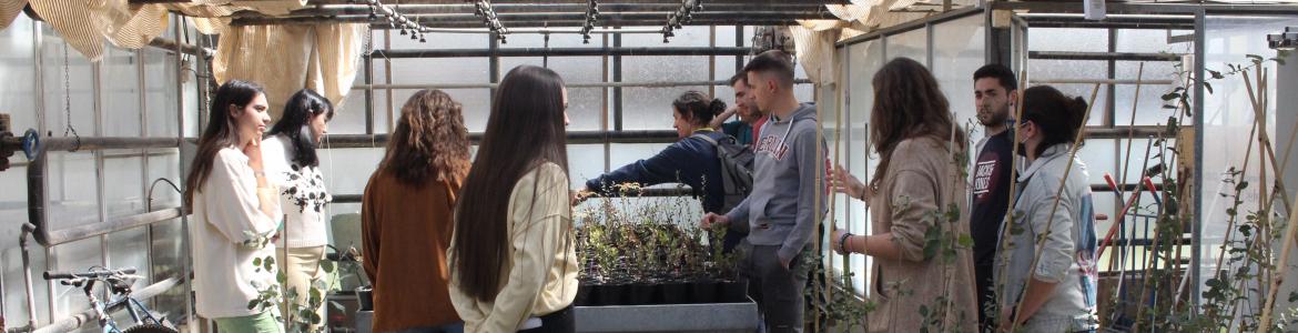 Visita de alumnos a un invernadero