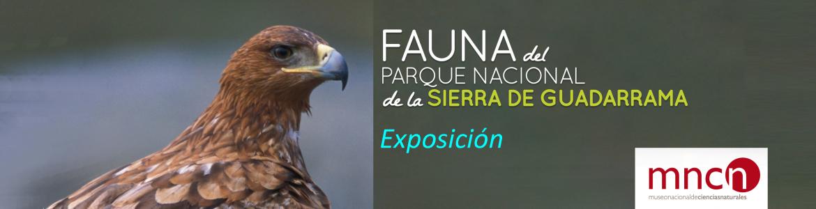 Exposición fauna del Parque Nacional