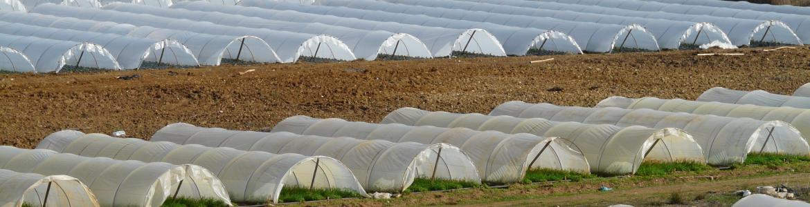 Ayudas para el fomento de las inversiones en infraestructuras agrarias de uso común