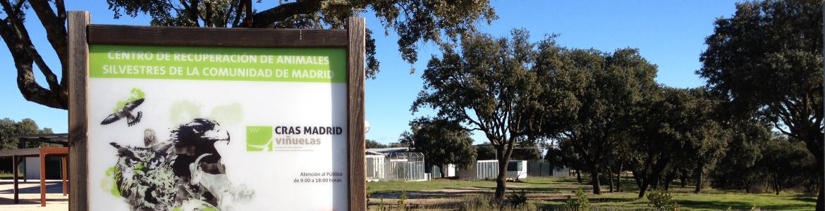Instalaciones CRAS-Madrid