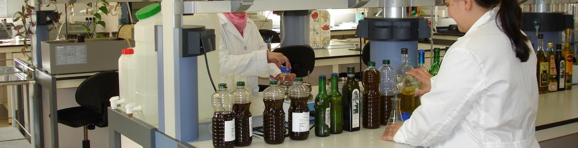 Trabajadores en el laboratorio de agroalimentacion