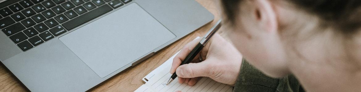 Navegar entre los contenidos de Educación Primaria 