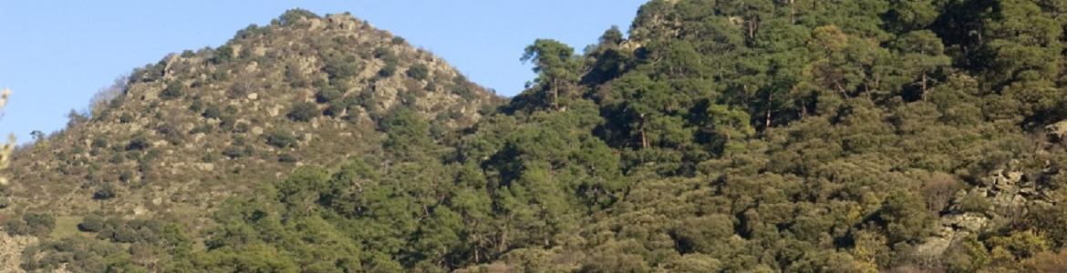 Lomas de La Almenara