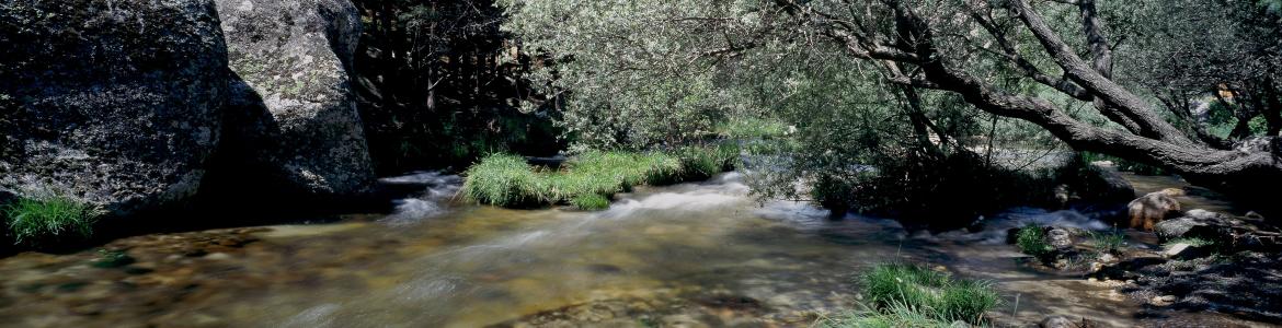 Río Manzanares en La Pedriza