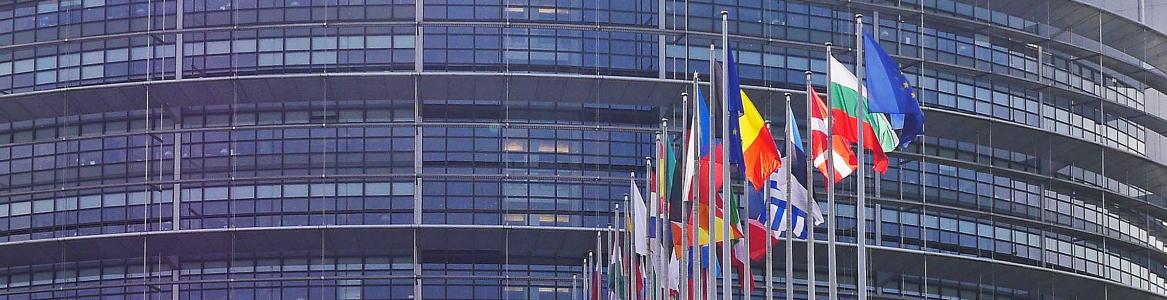 Banderas frente a la fachada del Parlamento Europeo