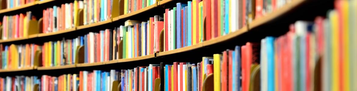 Biblioteca
