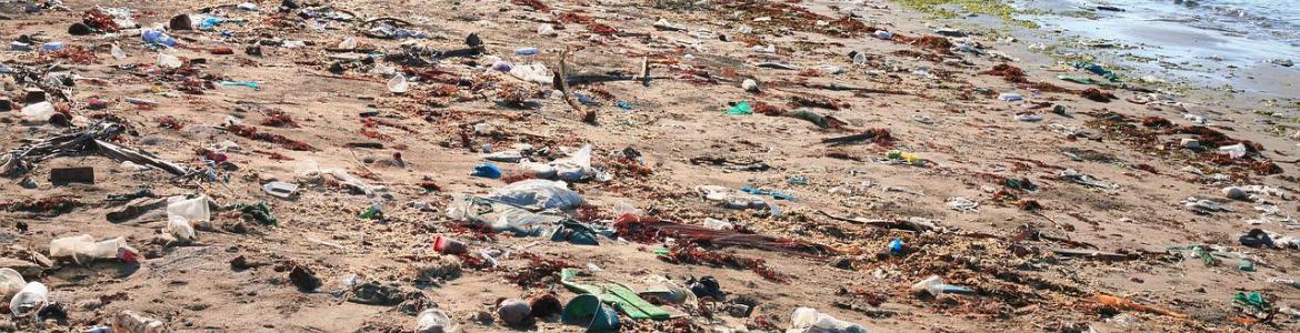 Basura playa Foto basura