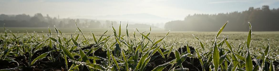 Solsticio invierno agricultura