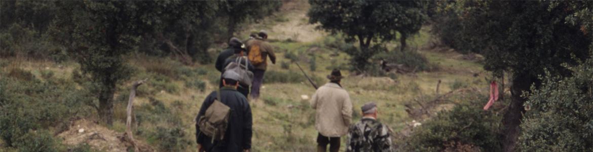 Información batidas de jabalí en montes públicos