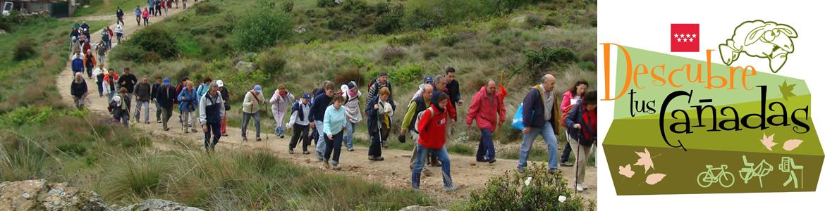 Imagen de grupos de gente por una vía pecuaria
