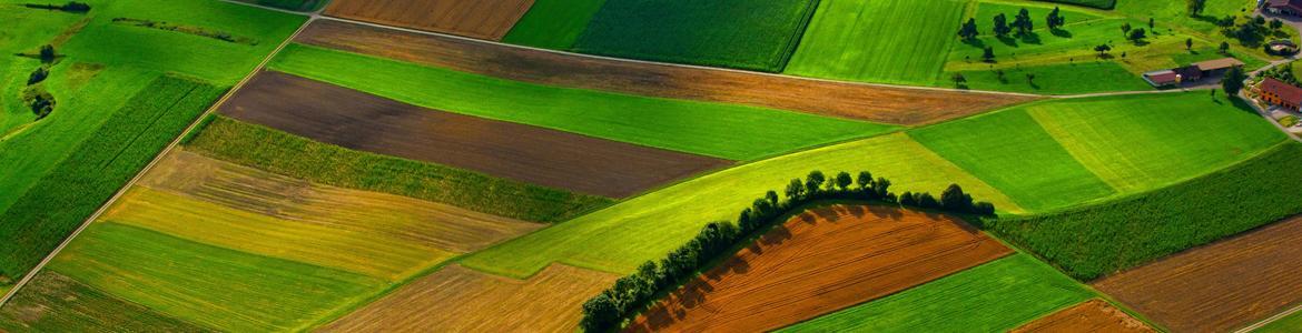 Rural environment - Crop fields