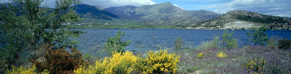 Embalse de Navacerrada