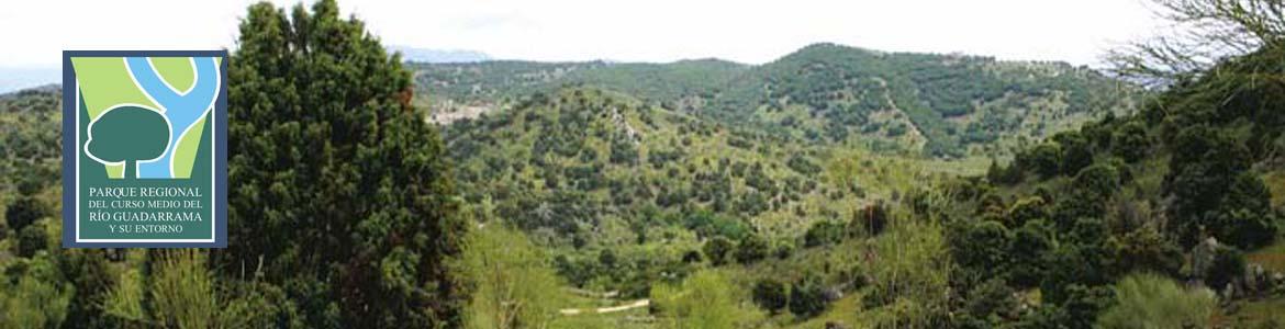 Vista desde la senda de Colmenarejo a Villanueva del Pardillo Vista desde la senda de Colmenarejo a Villanueva del Pardillo
