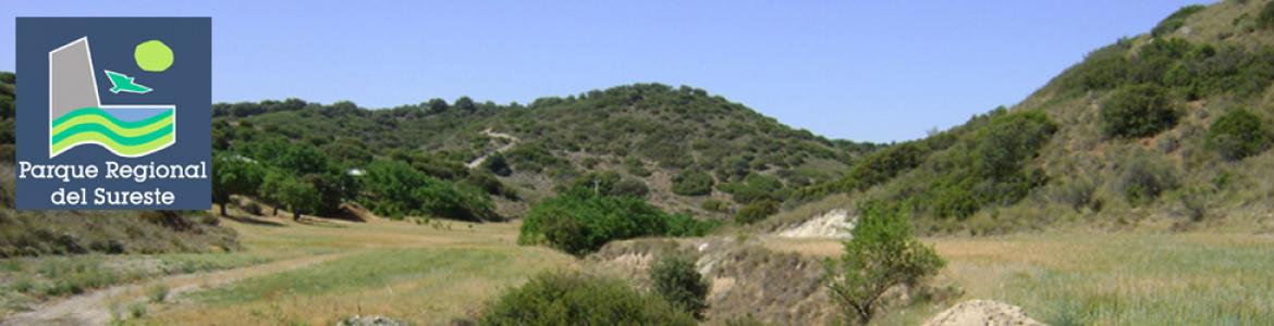 Paseo por las áreas recreativas de Chinchón