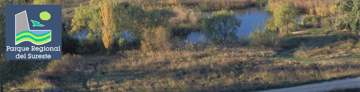 Paseo por las lagunas y la presa del río Henares