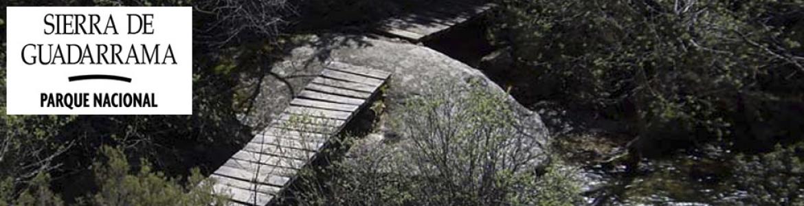 Senda del Puerto de Navacerrada a Canto Cochino