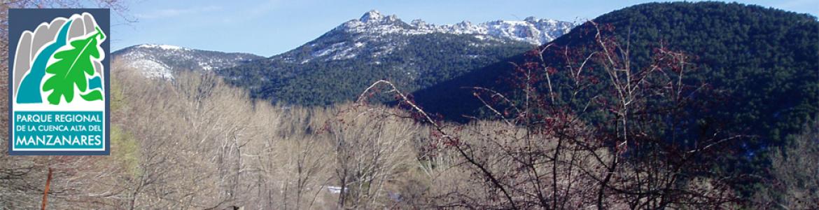 Senda Camino Puricelli