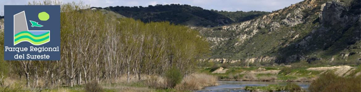 Vuelta en bicicleta por los altos del Pingarrón desde San Martín de la Vega