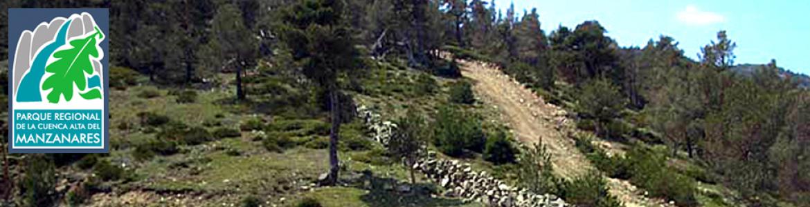 Senda La Calle Alta