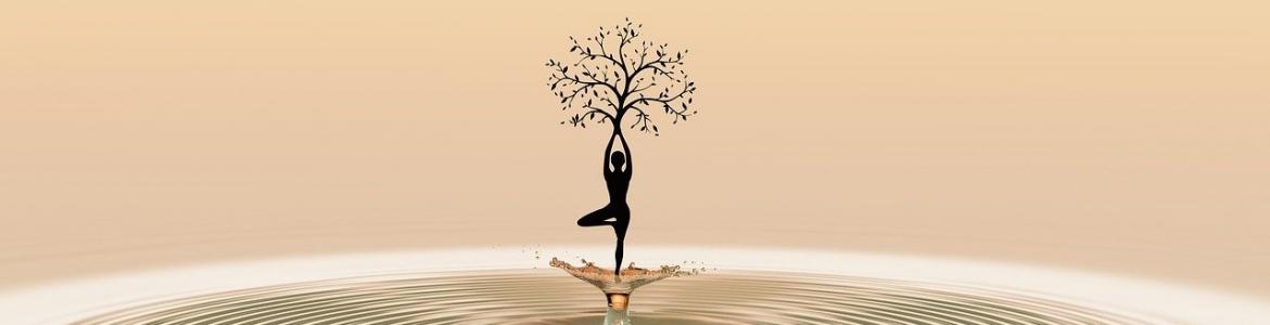 Meditación naturaleza Silueta mujer árbol