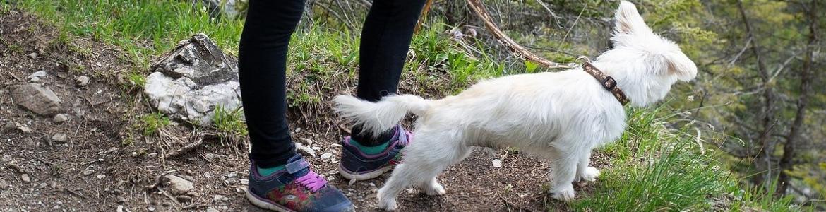 Una chica con un perro en la senda
