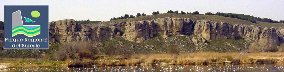 Senda "Paseo por el Soto de Las Juntas"