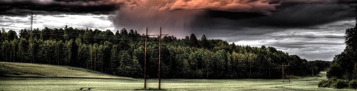 storm in forest