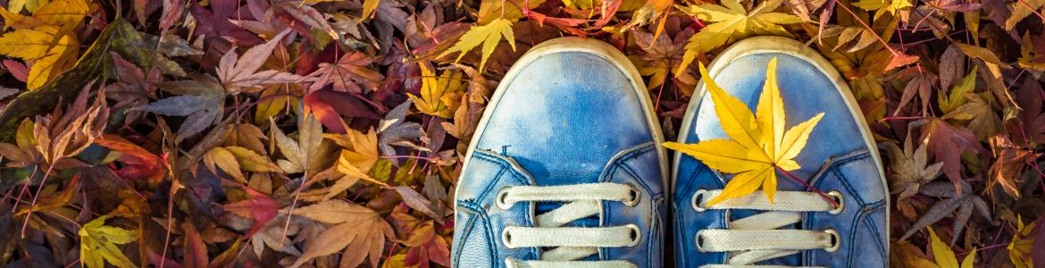 Blue sneakers on autumn leaves on the ground