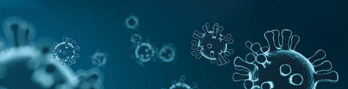 Coronavirus Imagen de coronavirus